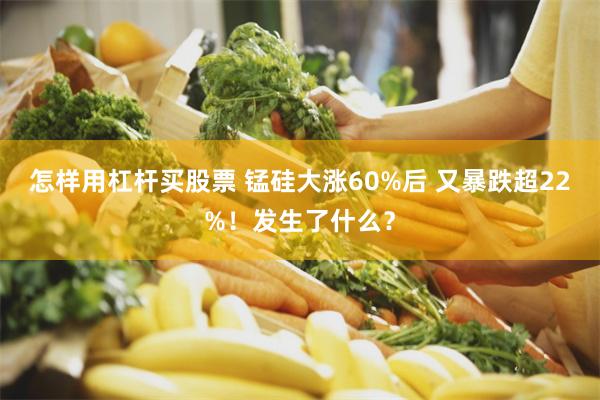 怎样用杠杆买股票 锰硅大涨60%后 又暴跌超22%！发生了什么？