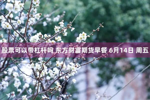 股票可以带杠杆吗 东方财富期货早餐 6月14日 周五