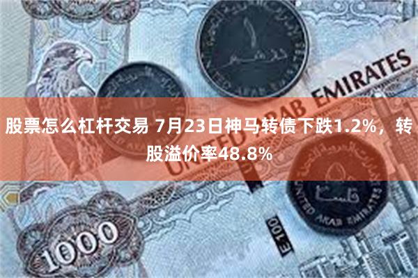 股票怎么杠杆交易 7月23日神马转债下跌1.2%，转股溢价率48.8%