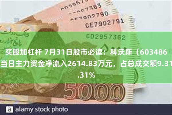 买股加杠杆 7月31日股市必读：科沃斯（603486）当日主力资金净流入2614.83万元，占总成交额9.31%