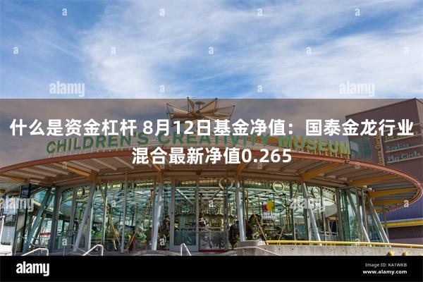 什么是资金杠杆 8月12日基金净值：国泰金龙行业混合最新净值0.265