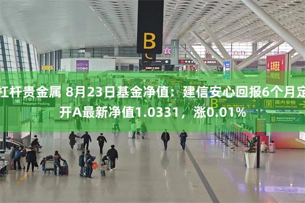 杠杆贵金属 8月23日基金净值：建信安心回报6个月定开A最新净值1.0331，涨0.01%