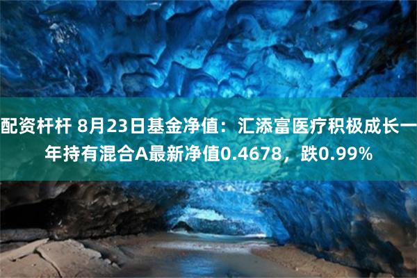 配资杆杆 8月23日基金净值：汇添富医疗积极成长一年持有混合A最新净值0.4678，跌0.99%