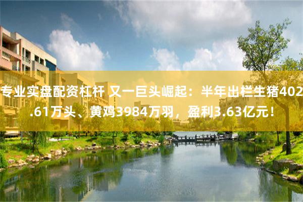 专业实盘配资杠杆 又一巨头崛起：半年出栏生猪402.61万头、黄鸡3984万羽，盈利3.63亿元！