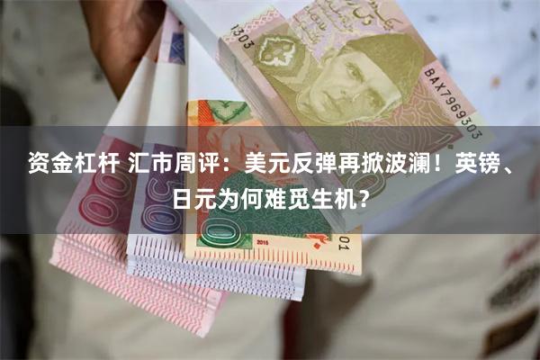 资金杠杆 汇市周评：美元反弹再掀波澜！英镑、日元为何难觅生机？