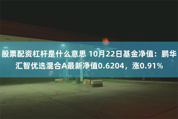 股票配资杠杆是什么意思 10月22日基金净值：鹏华汇智优选混合A最新净值0.6204，涨0.91%