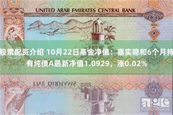 股票配资介绍 10月22日基金净值：嘉实稳和6个月持有纯债A最新净值1.0929，涨0.02%