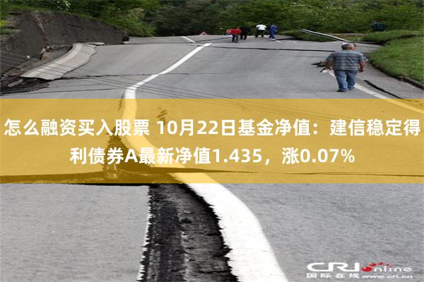 怎么融资买入股票 10月22日基金净值：建信稳定得利债券A最新净值1.435，涨0.07%