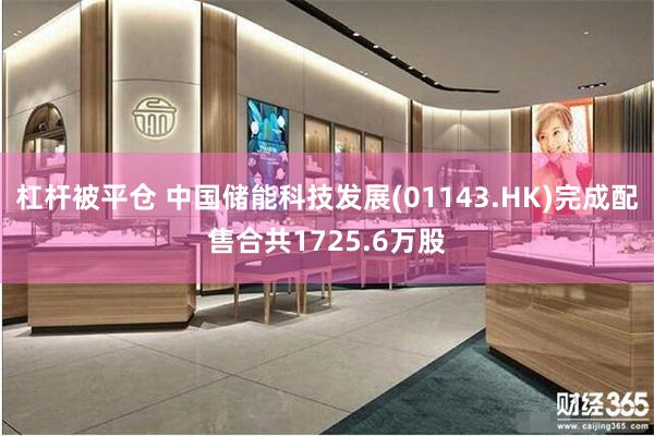 杠杆被平仓 中国储能科技发展(01143.HK)完成配售合共1725.6万股