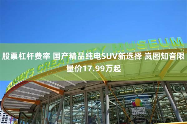 股票杠杆费率 国产精品纯电SUV新选择 岚图知音限量价17.99万起