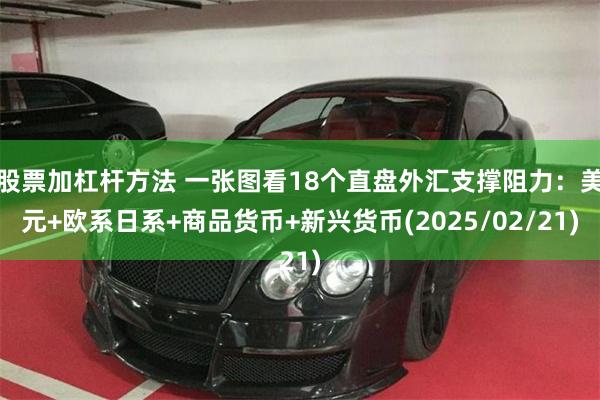 股票加杠杆方法 一张图看18个直盘外汇支撑阻力：美元+欧系日系+商品货币+新兴货币(2025/02/21)